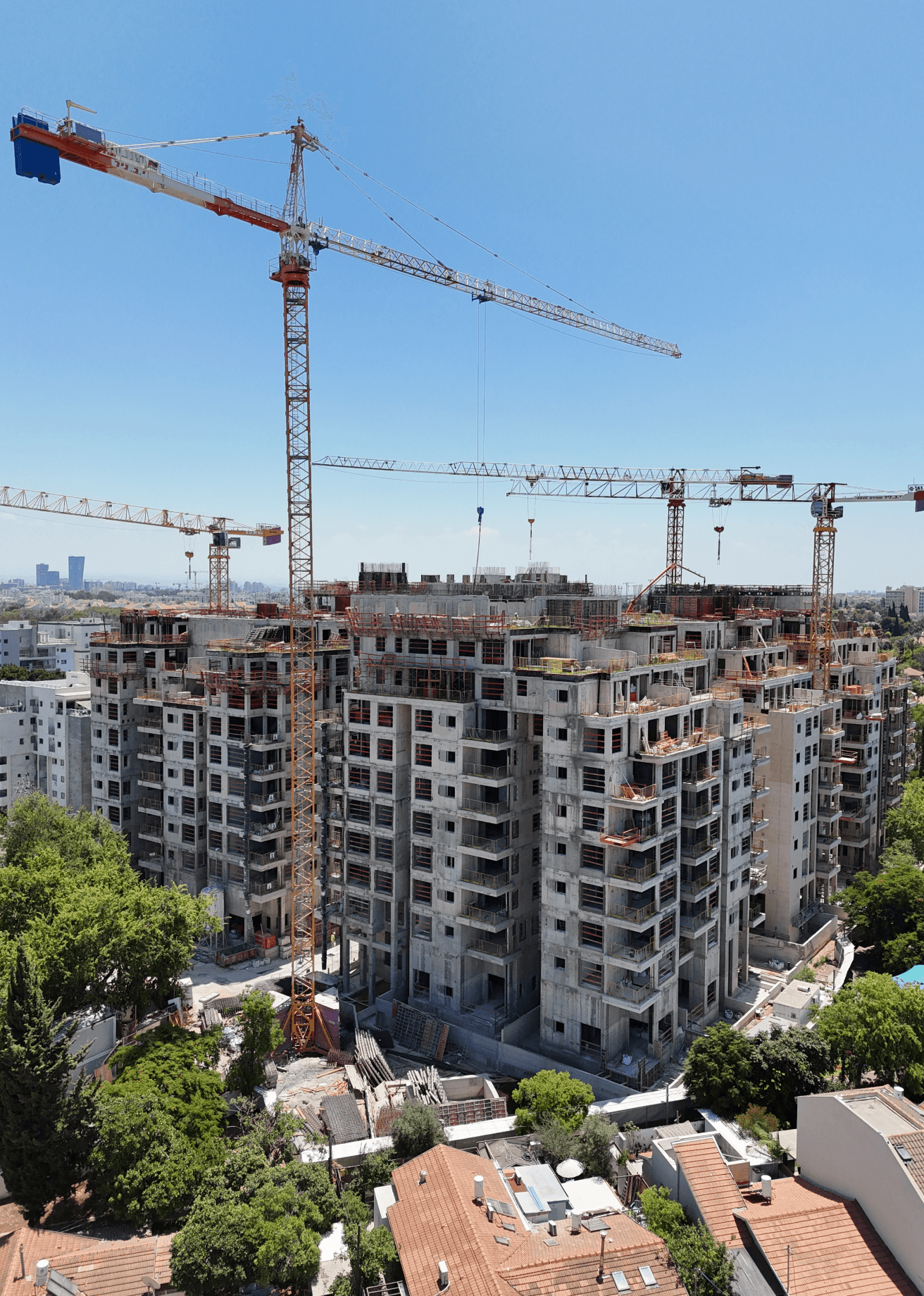 זהב על הפארק