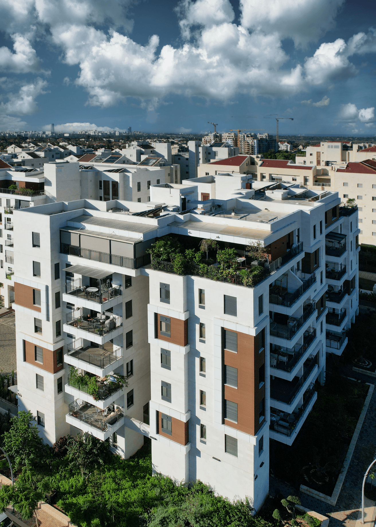 סביוני רעננה 